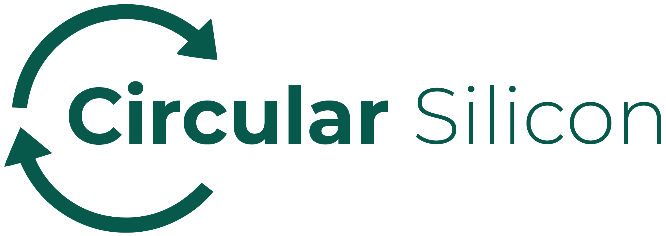 Circular Silicon Logo